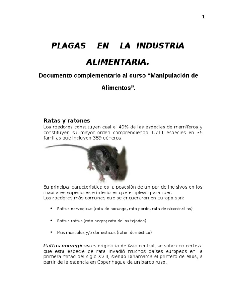 Control de Plagas en la Industria Alimentaria | PDF | Rata | Roedor
