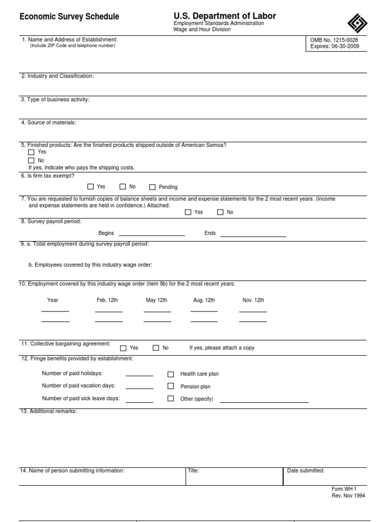 Economic Survey Schedule Instructions | PDF | Overtime | Employment
