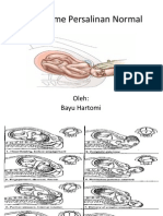 Persalinan Normal