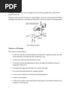 Download pruning  plucking in tea garden by sashaon SN17029298 doc pdf