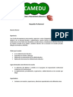 Respaldo Profesional PDF