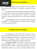 Como Funciona o Cerebro Humano