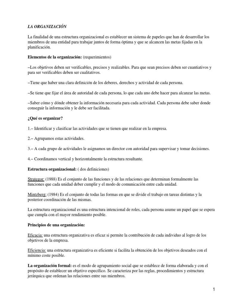 Finalidad de La Organizacion | PDF | Toma de decisiones | Burocracia
