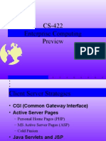 CS-422 Enterprise Computing Preview