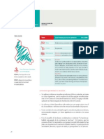 Ejemplos Promoción de La Salud PDF