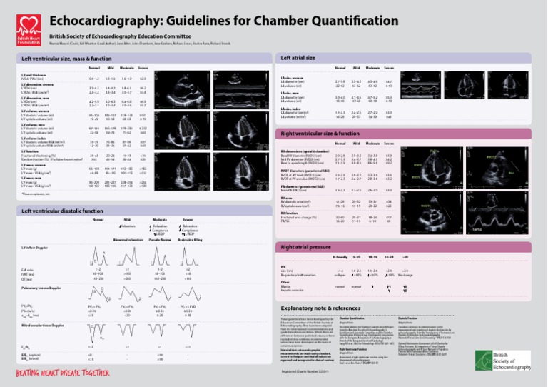 Guidelines for Chamber Quantification | Echocardiography | Diastole