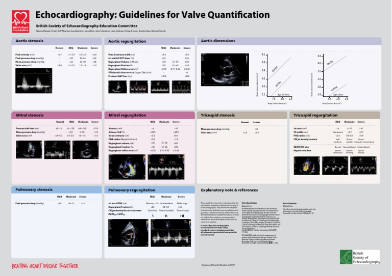 Guidelines For Valve Quantification | PDF | Echocardiography ...