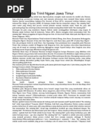 Download Manusia Purba Trinil Ngawi Jawa Timur by Kami Deris SN170346939 doc pdf