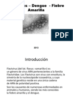 Fiebre Amarilla - Dengue - Flavivirus