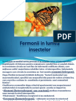 Fermonii in Lumea Insectelor