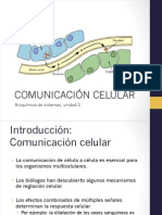 2.1 Comunicacion Celular