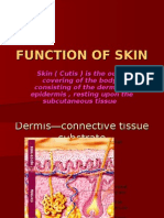Physiology of Skin