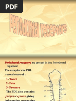 Download Periodontal Receptors by rozha SN17041722 doc pdf