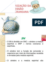 Monitorização Da Pressão Intracraniana