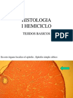 Histologia i Hemiciclo