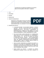 Modelo Informe PFD y P IDs