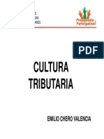 Taller1 Cultura Tributaria Pp2012