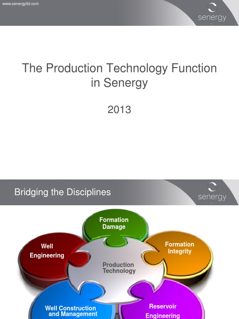 The Production Technology Function in Senergy - 2013 | PDF | Hydraulic ...
