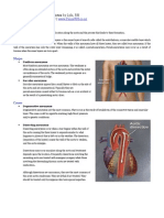 3213741-review-notes-for-nclex-cgfns-aortic-aneurysms