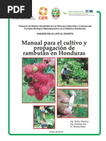 Download Rambutan by Tsiyn Mente SN170553417 doc pdf