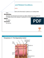 4 Body Systems and Related Conditions: Homeostasis