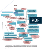 Patofisiologi Kasus Thalassemia