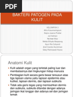 Download ppt bakteri by Afria Kusumaningrum SN170569030 doc pdf