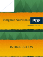 Inorganic Nutrition of Plants: Essential Nutrients & Deficiency Symptoms