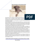 Adiestrar a Un Perro Peruano Sin Pelo