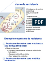 Antibiotice Mecanisme Rezistenta