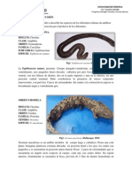 RESULTADOS Y DISCUSIÓN (Autoguardado)