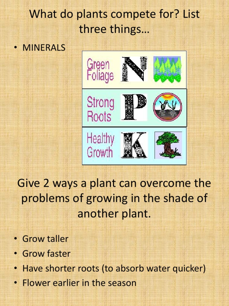 What Do Plants Compete For? List Three Things Minerals PDF