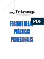Formato Practicas Profesionales - Telesup