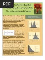 Download Photography -- Being Comfortable with your Histogram by Michael Lustbader SN17068321 doc pdf