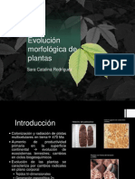 Evolucion Morfológica de Plantas