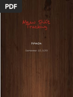 Mean Shift Tracking