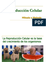 Clase 10 - Reproduccion Celular