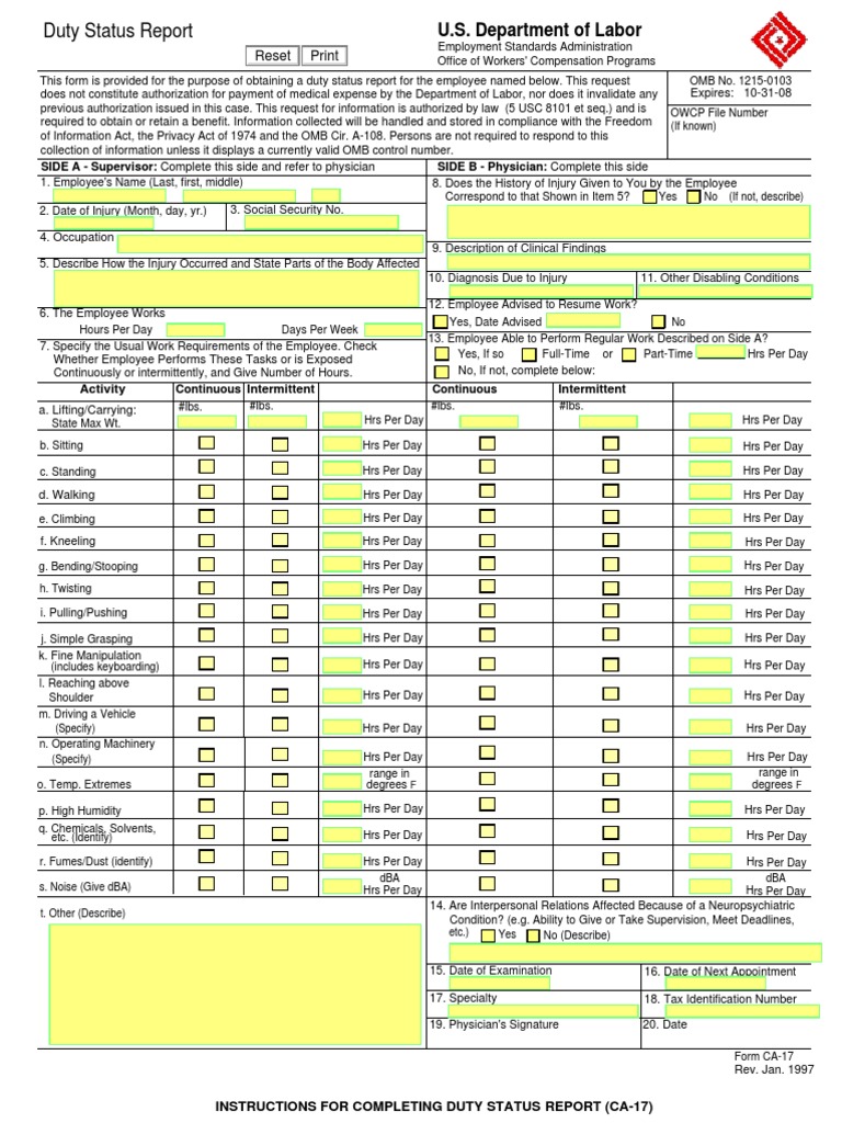 CA-17 Form Image 3