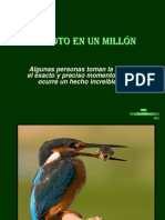 Una Foto Entre Un Millon