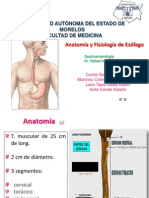 Anatomía y Fisiología de Esofago