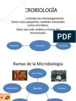 MICROBIOLOGÍA Exposición