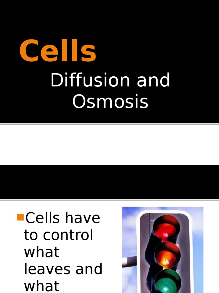 Understanding Diffusion and Osmosis | PDF | Osmosis | Cell Biology