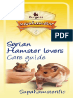 Syrian Hamster Care Guide