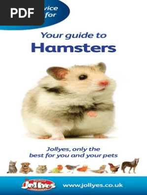 jollyes hamster cage