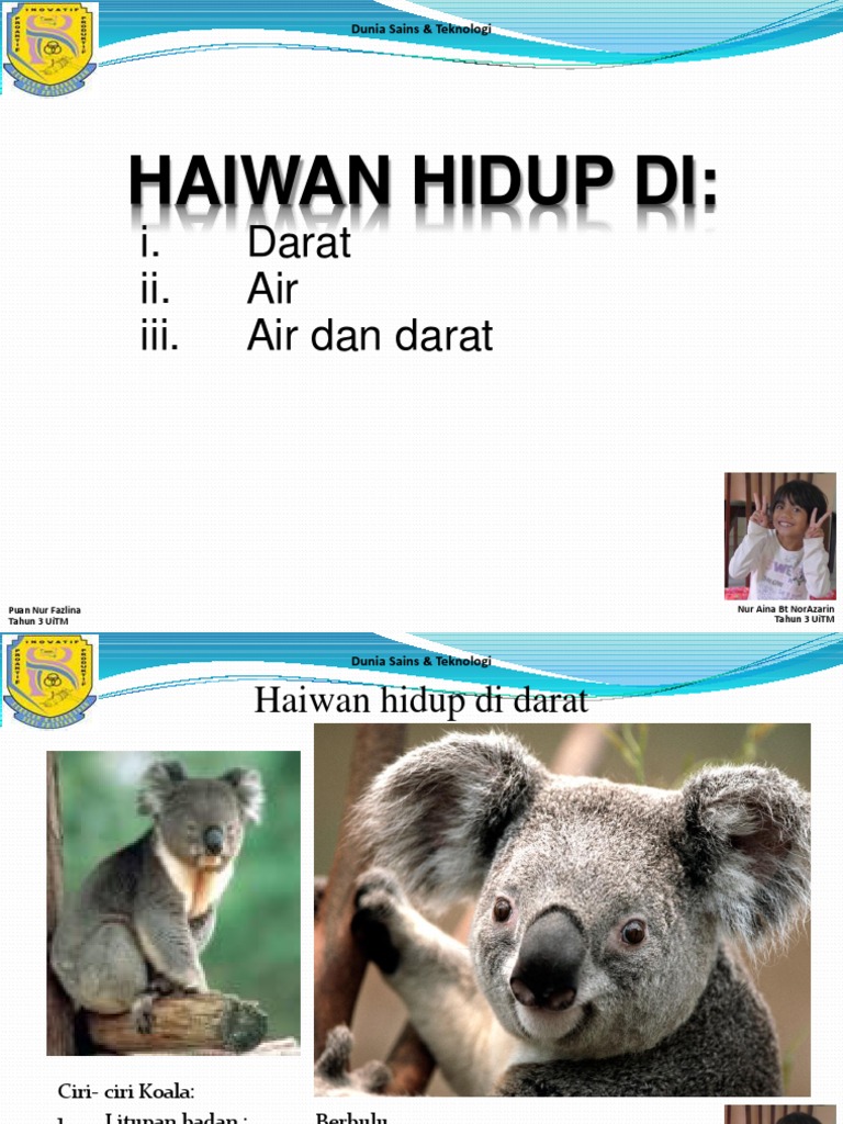 Haiwan Hidup Aina Pdf