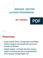 Pemeriksaan Bakteri Dengakn Pewarnaan