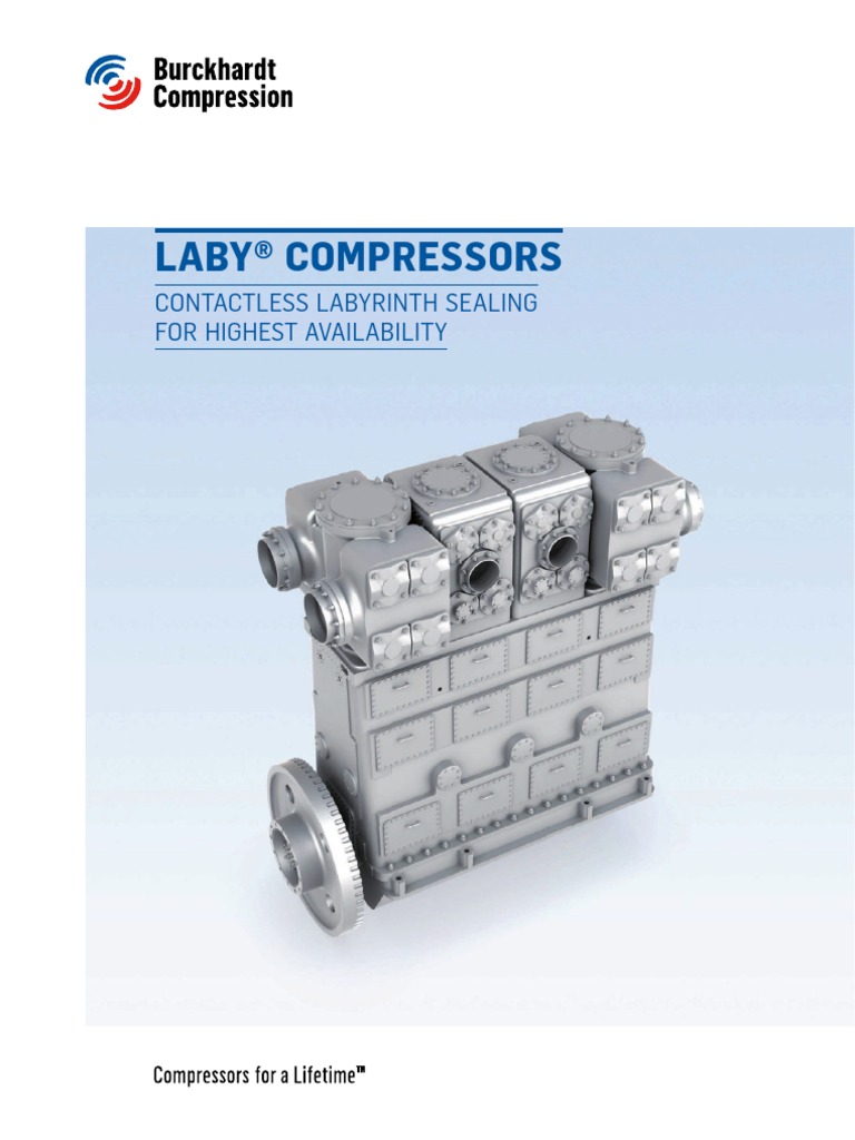 Reciprocating Compressor PDF Piston Natural Gas