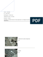 Perthites: Framework Silicates Triclinic (+,-)