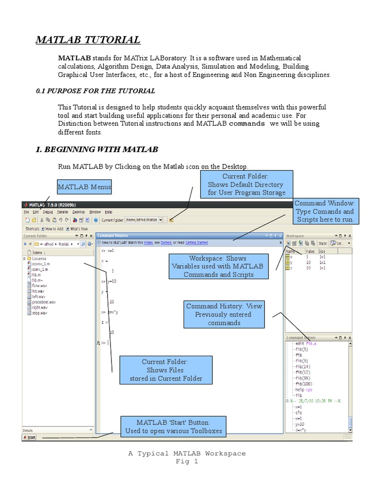 Matlab Tutorial Matlab Matrix Mathematics