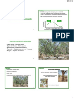 Forragens para o semiárido: introdução e características